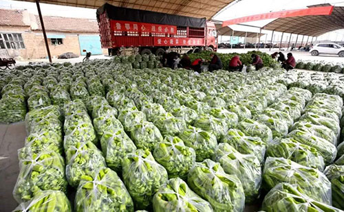我是湖南長沙蔬菜批發(fā)市場，買多少錢的農(nóng)藥殘留檢測儀合適？